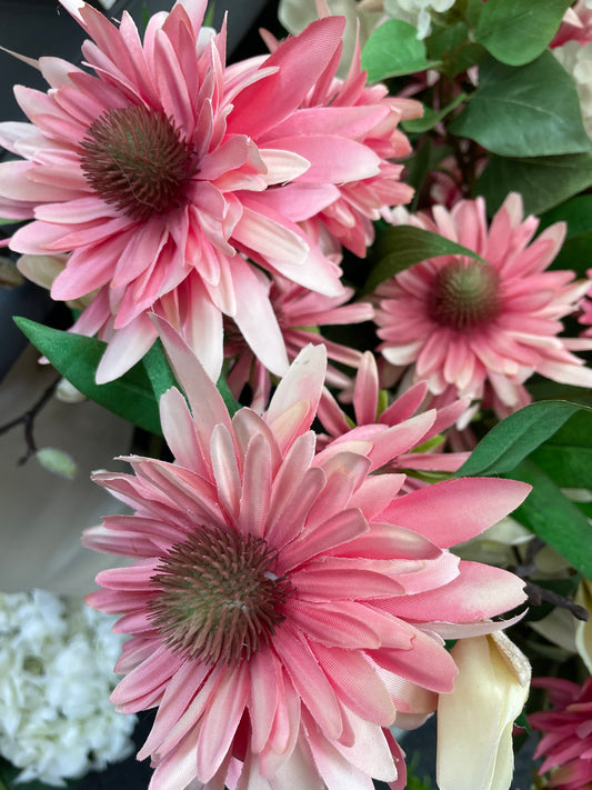 Wild Chrysanthemum - Light Pink