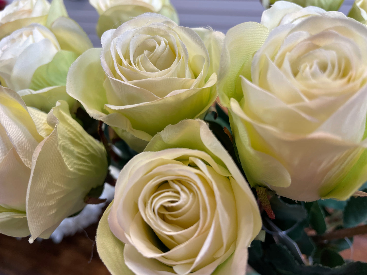 GN French Rose Bud Sm Crm/Gren