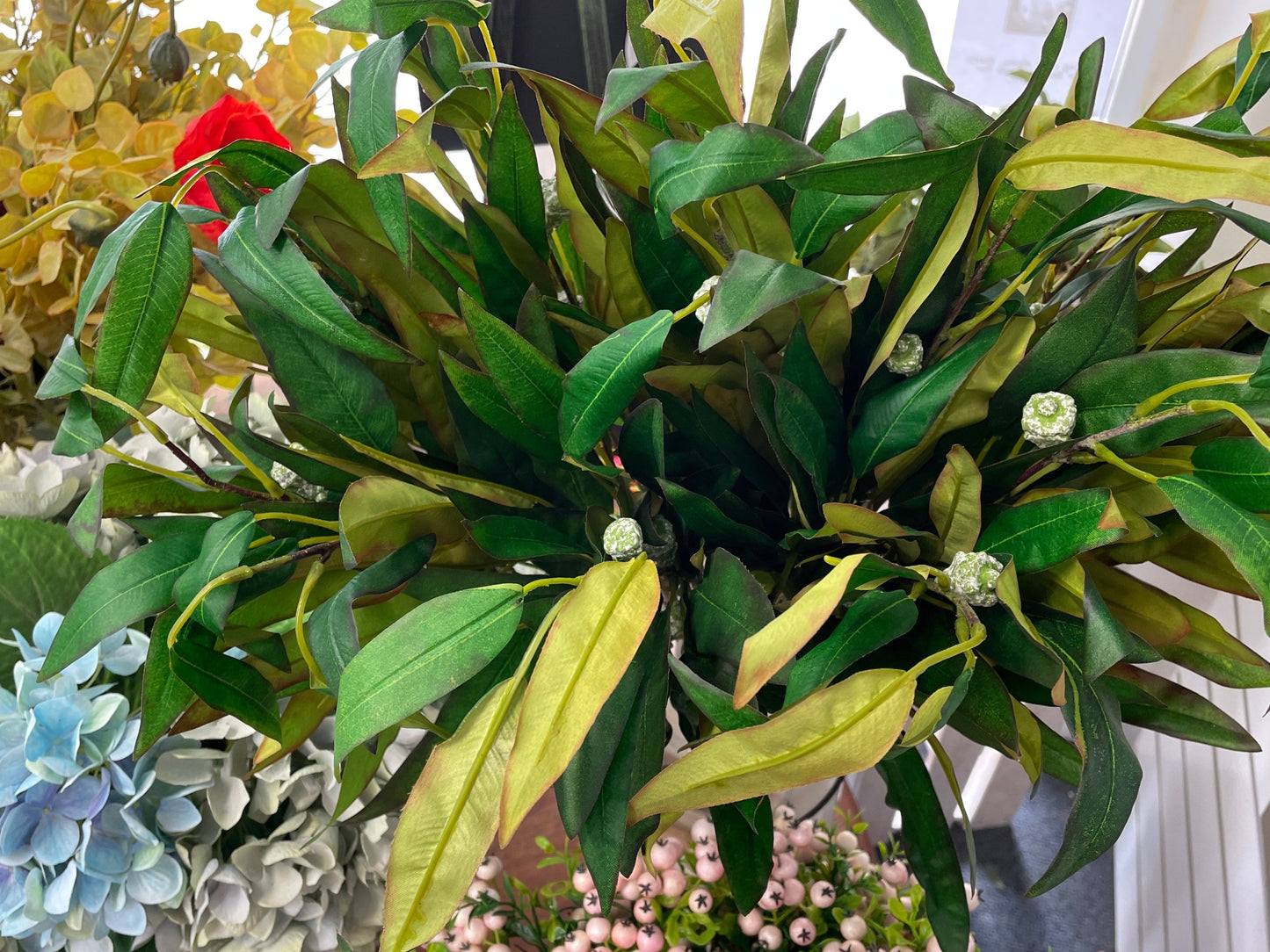 Willow Eucalyptus - New Green