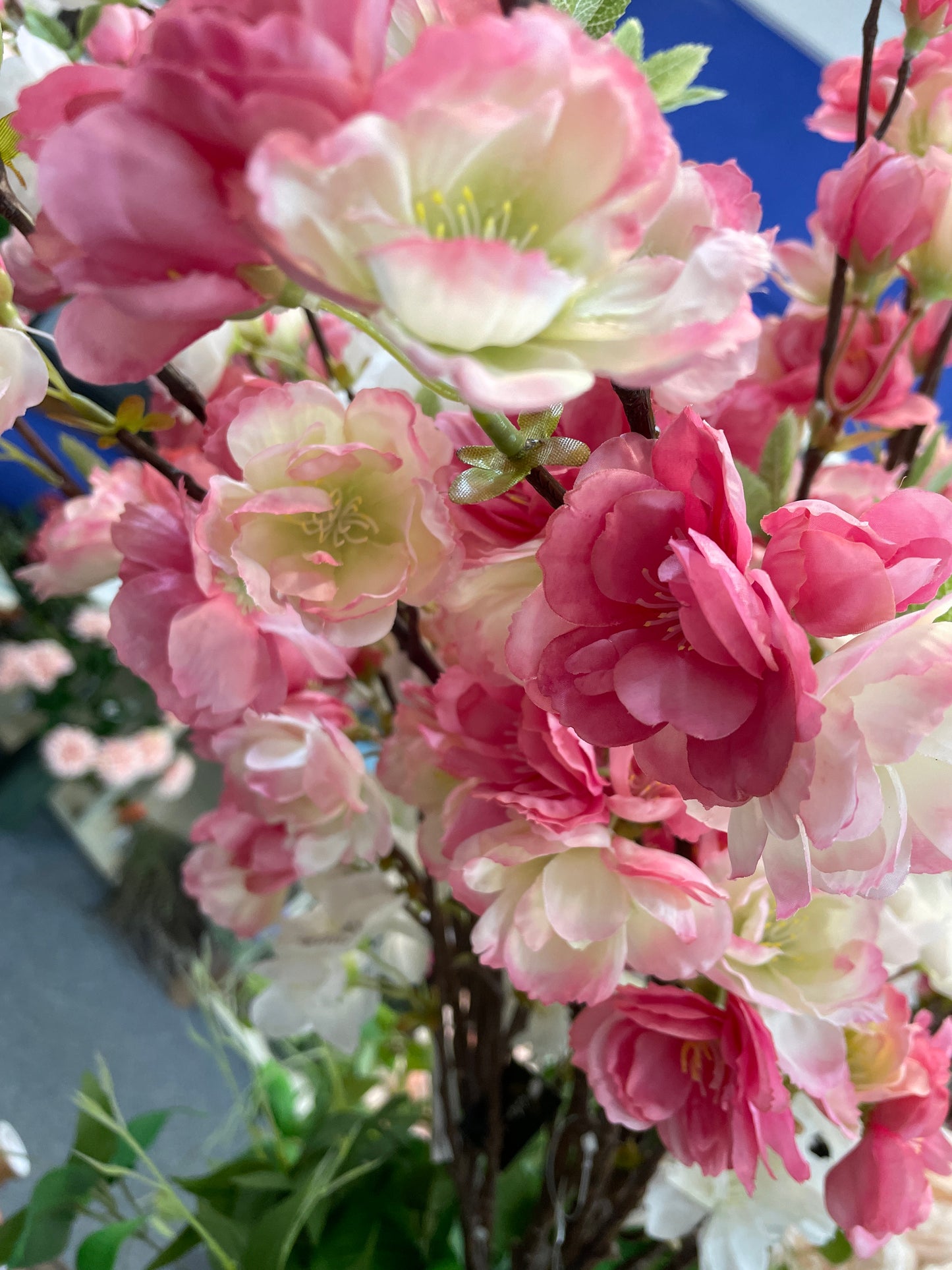 GN Japanese Cherry Bloss Pink