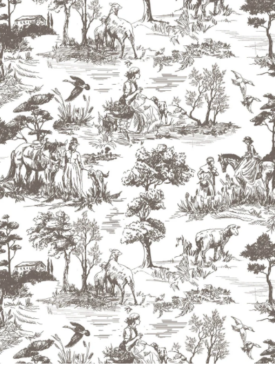 IOD Transfer English Toile
