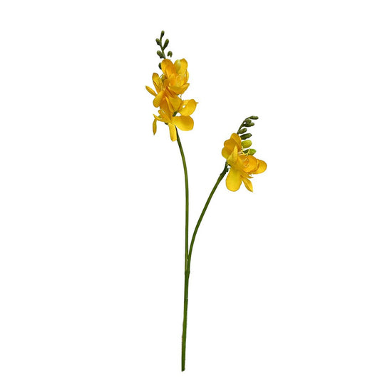 GN Freesia - Yellow