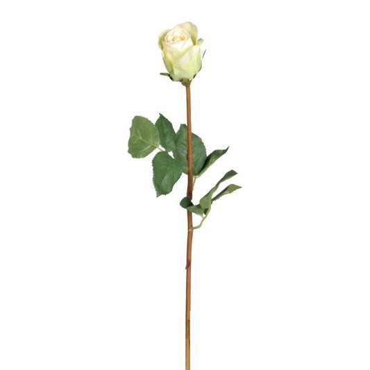 GN French Rose Bud Sm Crm/Gren