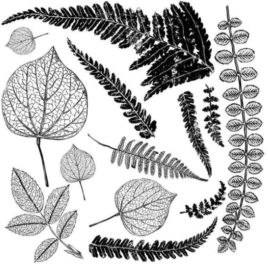 IOD Stamp Fronds
