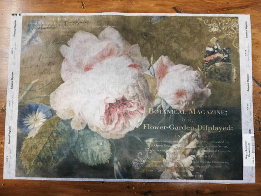 Grys - Botanical Magazine A3