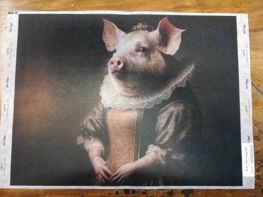 Grys - Miss Piggy A3