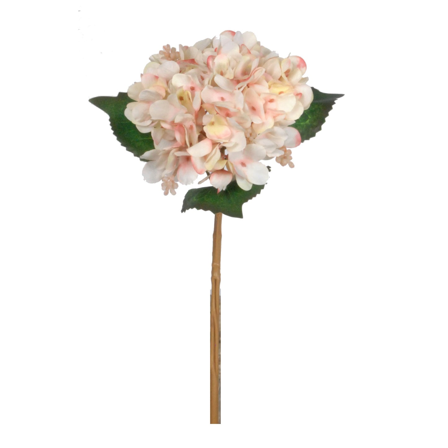 GN Garden Hydrangea Blush