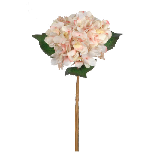 GN Garden Hydrangea Blush