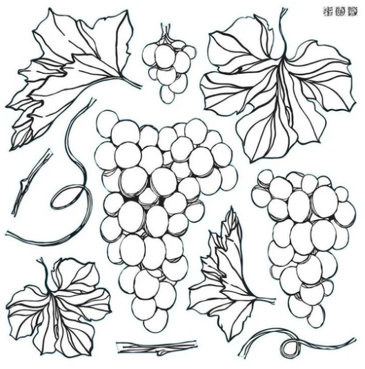 IOD Stamp Grapes