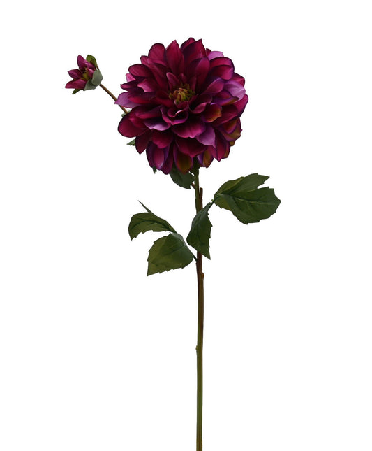 GN Hampstead Dahlia Magenta