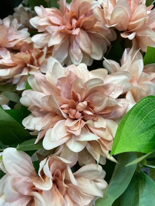 GN Cottage Dahlia Pink