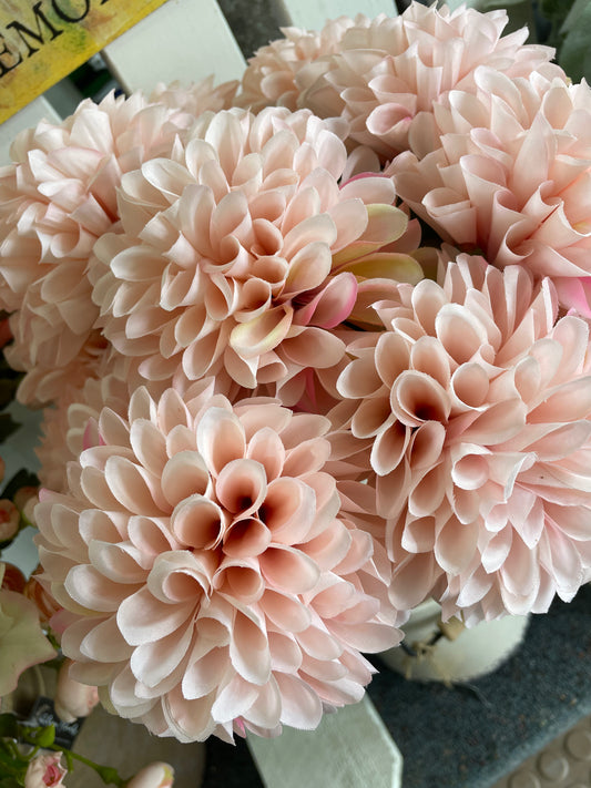 GN Pompom Dahlia Blush