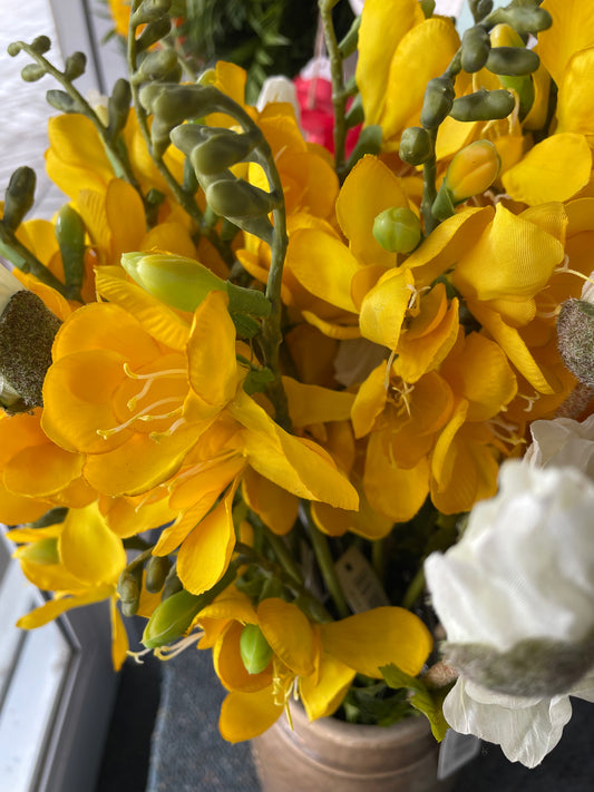 GN Freesia - Yellow