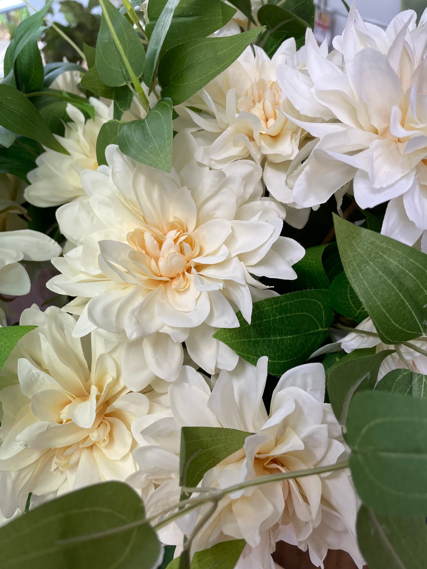 GN Cottage Dahlia White