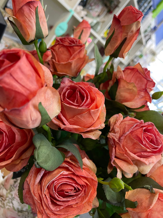 GN Harvest Rose Spiced Coral