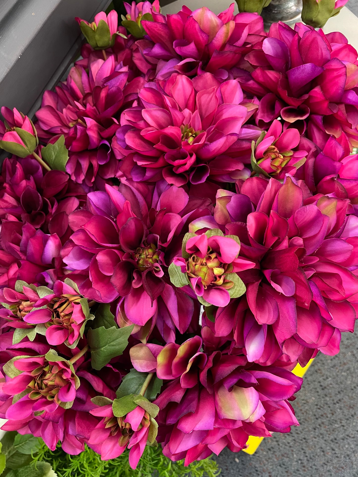 GN Hampstead Dahlia Magenta