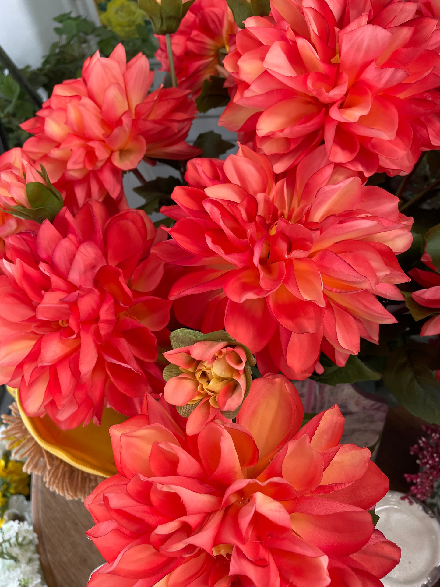 GN Hampstead Dahlia Pssnfruit