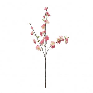GN Japanese Cherry Bloss Pink