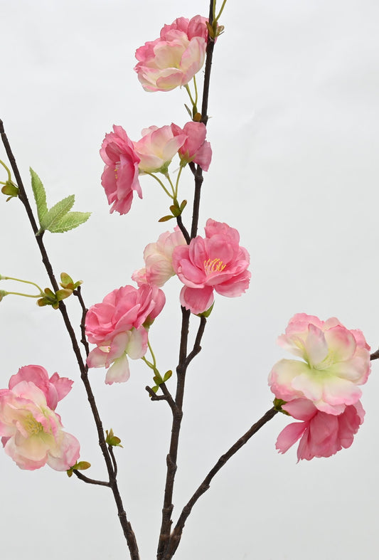 GN Japanese Cherry Bloss Pink