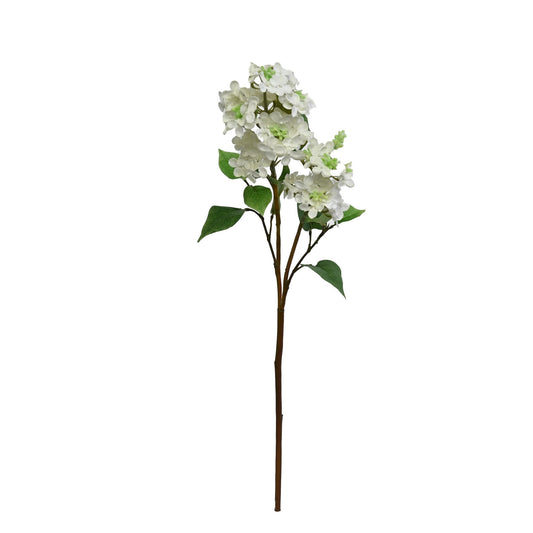 GN Lilac Stem White
