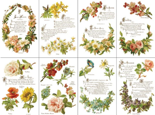IOD Transfer Lover of Flowers