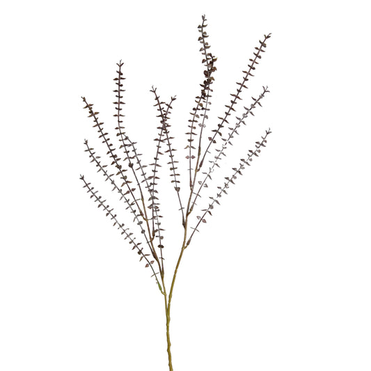 GN Mini Eucalyptus Pulverulent