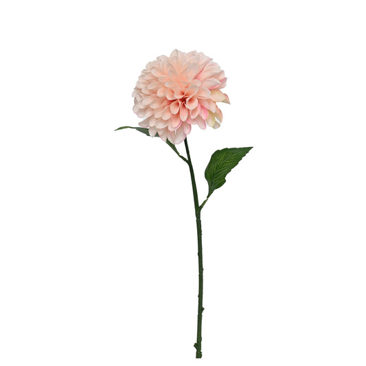 GN Pompom Dahlia Blush
