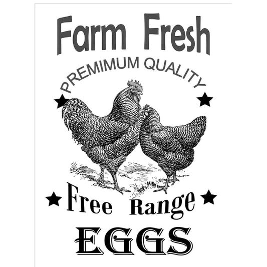 WC Transfer Free Range Eggs