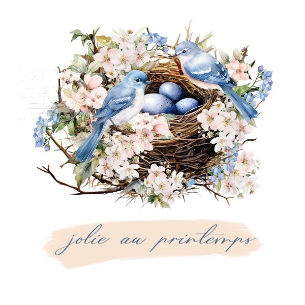 WC Transfer French Birds