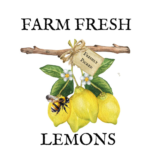 WC Transfer Fresh Lemons