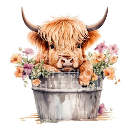 WC Transfer Highland 2