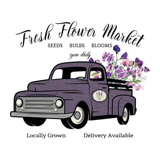 WC Transfer Locally Grown