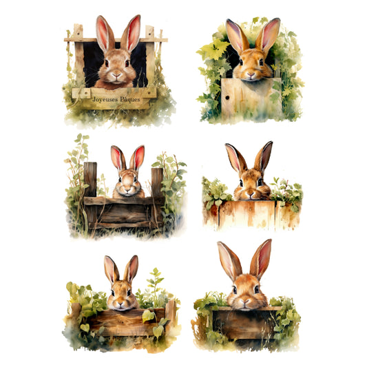 WC Transfer Peeking Bunnies