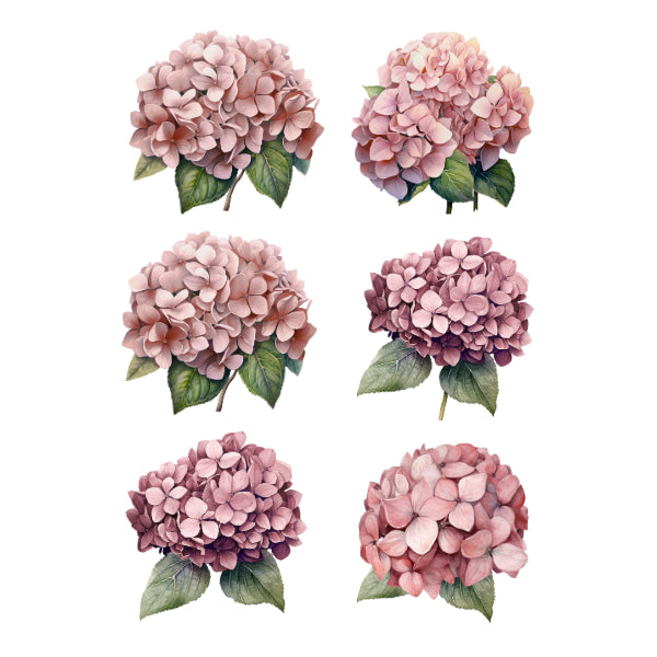 WC Transfer Vintage Hydrangeas