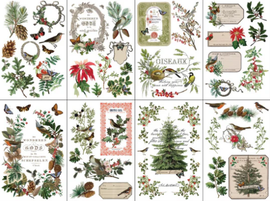 IOD Transfer Winter Botanist