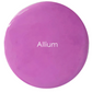 TAC Chalk Paint Allium