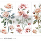 Redesign with Prima Mini Transfer - Blush Symphony