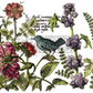 Botanist’s Journal Large IOD Decor Transfer