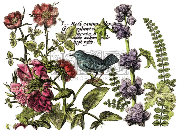Botanist’s Journal Large IOD Decor Transfer