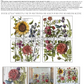 Botanist’s Journal Large IOD Decor Transfer
