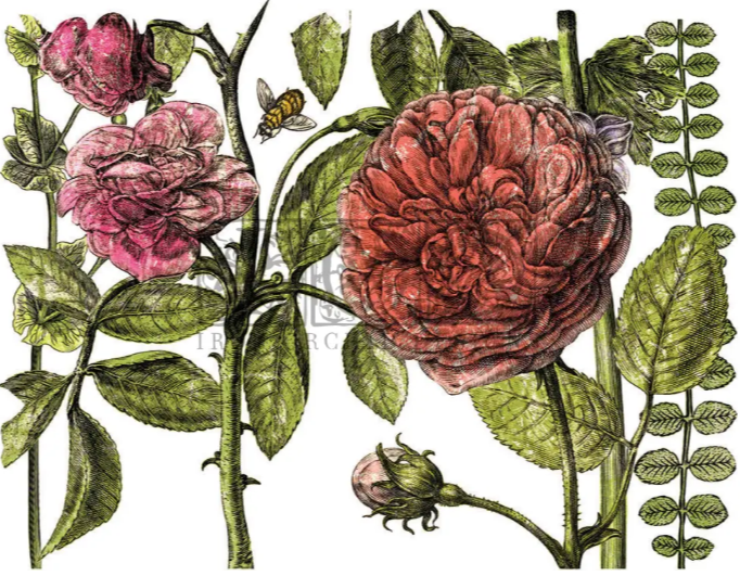Botanist’s Journal Large IOD Decor Transfer