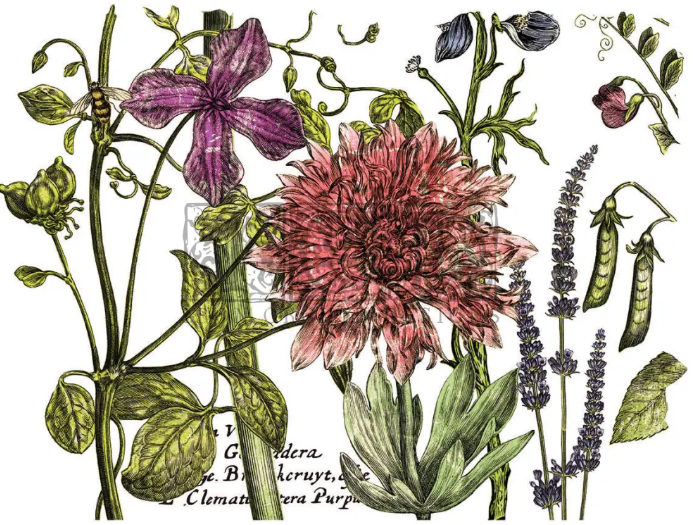 Botanist’s Journal Large IOD Decor Transfer