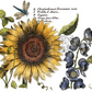 Botanist’s Journal Large IOD Decor Transfer