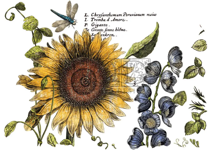 Botanist’s Journal Large IOD Decor Transfer
