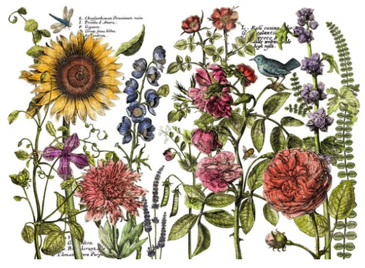 IOD Transfer Botanists Journal