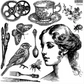 IOD Stamp Charlotte