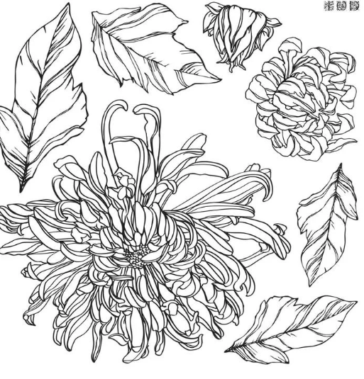 IOD Stamp Chrysanthemums