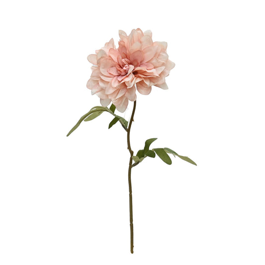 GN Cottage Dahlia Pink