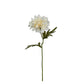 GN Cottage Dahlia White