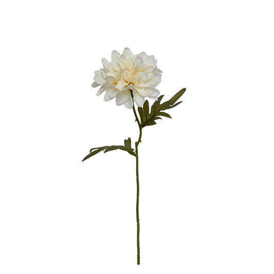GN Cottage Dahlia White